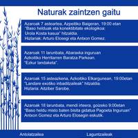 IV. Ingurumen Jardunaldiak: 'Baso heldu misto baten bisita gidatua Pagoeta inguruan' irteera