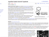 Euskal Antzerki Topaketen orrialdea sortu dute Wikipedian