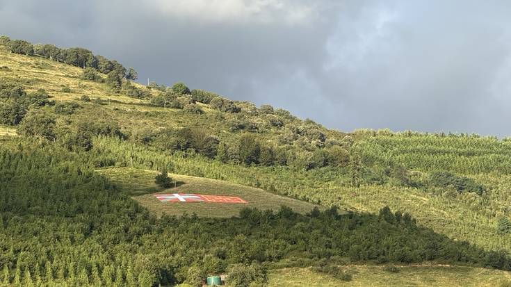Nafarroako bandera eta ikurrina, Arroitan