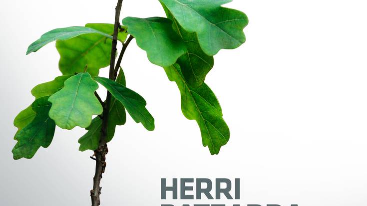 Ezker Abertzalearen Herri Batzarra
